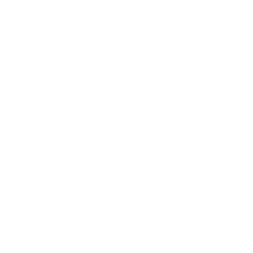 twitter_x icon